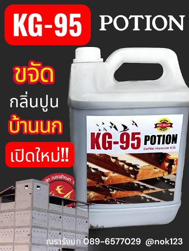 KG-95 POTION 4.5L สุดยอดฮอร์โมนปรับสภาพบ้านนกเปิดใหม่